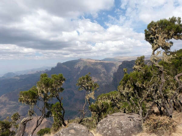 Trekking and Hiking Holidays in Ethiopia & Simien Mountains