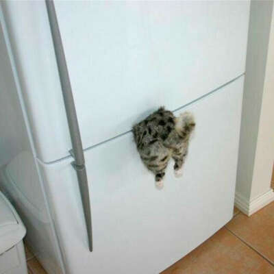 Магнит на холодильник прищеми кошку