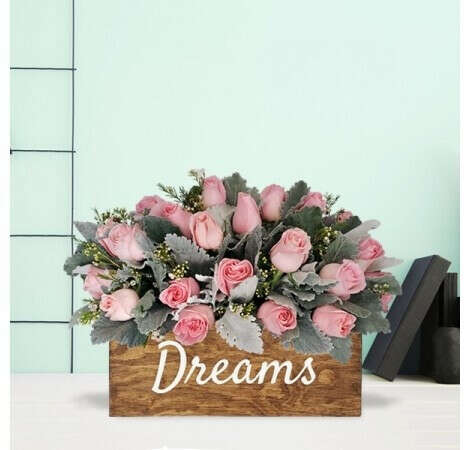 "24 Rosas Dreams"