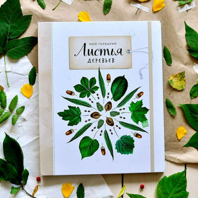Книга "Мой гербарий. Листья и травы"