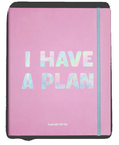 Планер «I have a plan» розовый купить в Киеве | ORNER