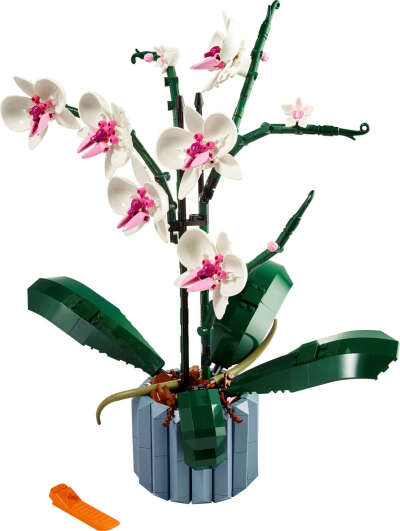 The LEGO® Group Orchid