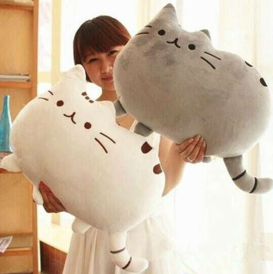 Pusheen