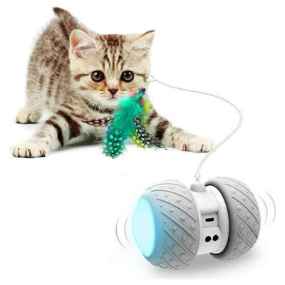 Технологичная игрушка для кошек