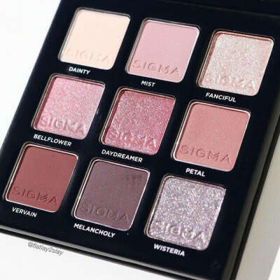 Sigma Beauty Eyeshadow Palette Hazy