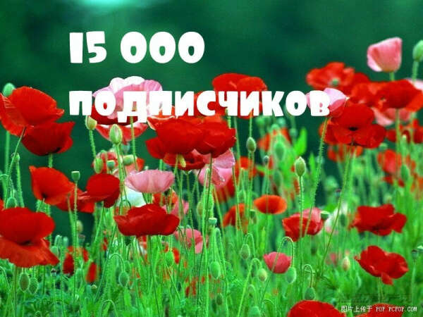 15000 подписчиков