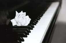 хочу научиться играть на пианино
