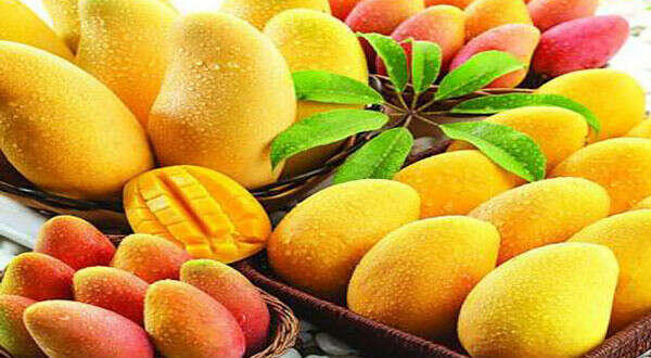 Целая корзина манго!!!