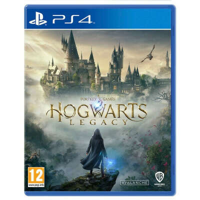 Hogwarts Legacy для PS 4