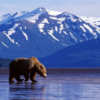 Побывать на Аляске