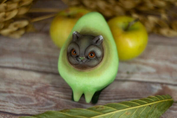 Бардачок Коши котик авокадо