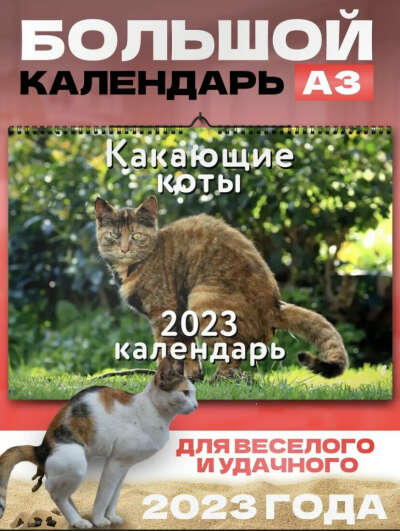 календарь с какающими кошками