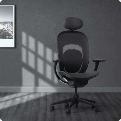 Кресло Xiaomi Yuemi YMI Ergonomic Chair (черный)