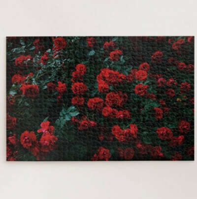 Bed of Red Roses puzzle