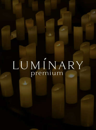 Концерт luminary