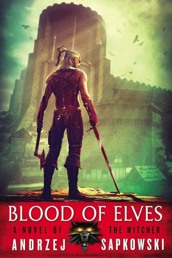 The Witcher Blood of Elves