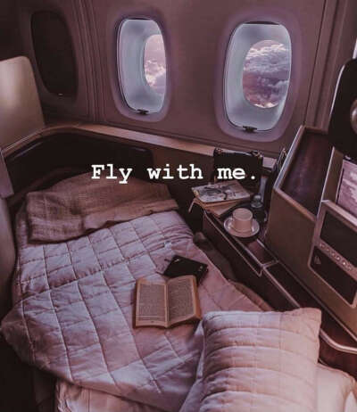 Fly in a vip plane