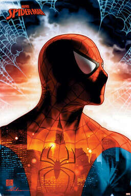 Плакат Spider-Man: Protector Of The City (№269)