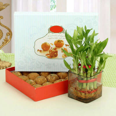 Besan Laddoo with Luck and 8 Red Roses