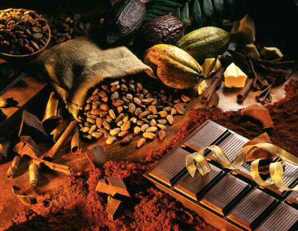 Качественный шоколад от 73% какао