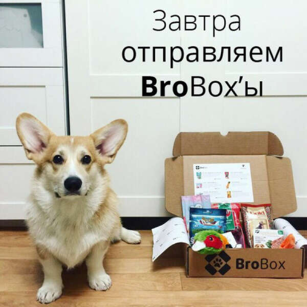 BroBox