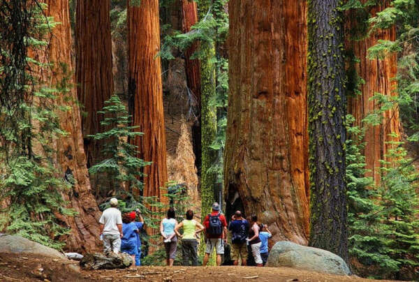 Национальный парк Секвойя в Калифорнии