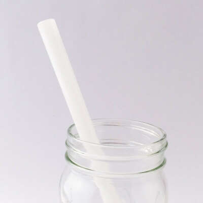 Stark White Glass Straw (Clearance) - Strawesome