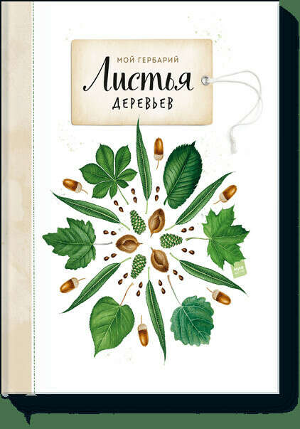 Мой гербарий. Листья деревьев (Анна Васильева, Светлана Винникова) — купить в МИФе