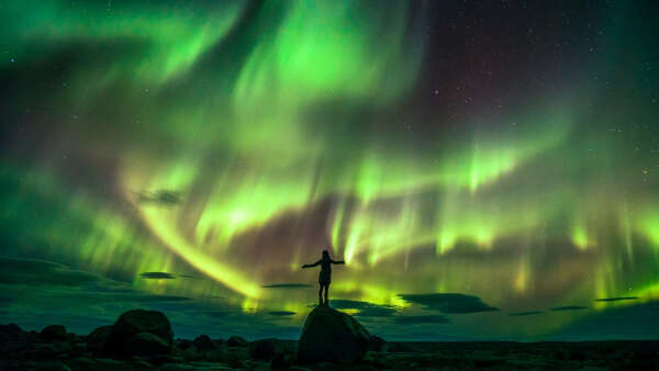 see the northern lights