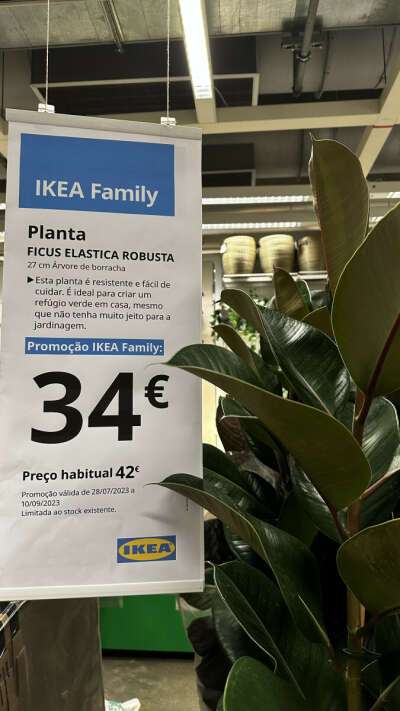 Сертификат в IKEA