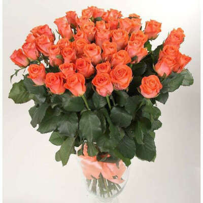 Подарить маме на День рождения 51 розу.