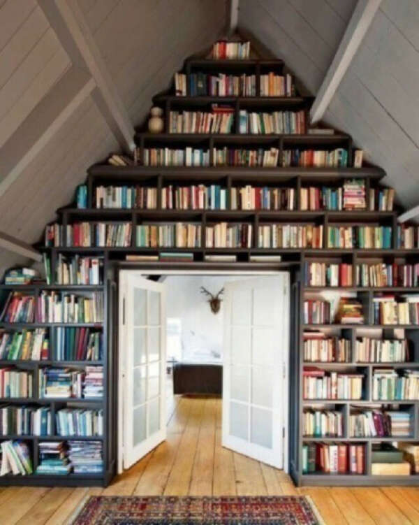 Library or big book shelf