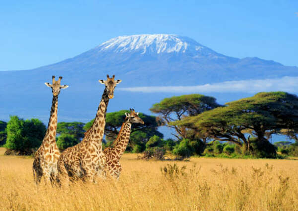 поездка в Кению