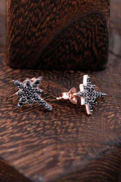 North Star Rose Silver Earrings 2421