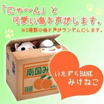 Money BANK Mikeneko Cat Catch Coin piggy bank Cute Kawaii Gift from Japan