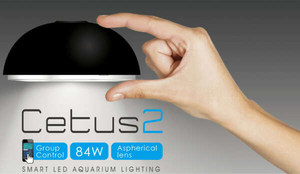 Светодиодный светильник Cetus 2