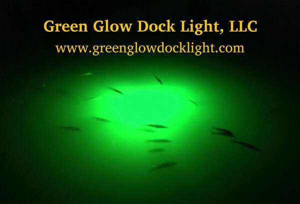 Green Glow Dock Light was voted 2018 #1 Fishing Light by FishingPicks