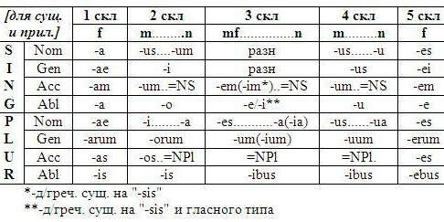 Разбираться в окончаниях латинских существительных