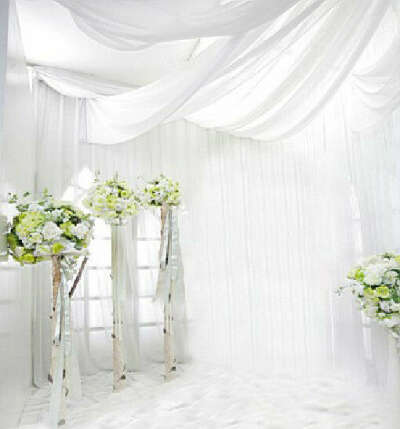 Vinyl Backdrops Photography Studio Backgrounds Prop White Curtain Wedding 5X7ft