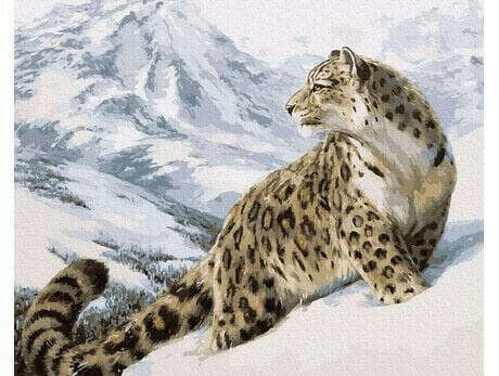 Pantera Śnieżna - Irbis 40cmx50cm - Obraz do namalowania - iPicasso