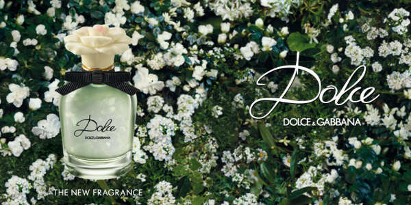 Perfume Dolce Dolce&Gabbana