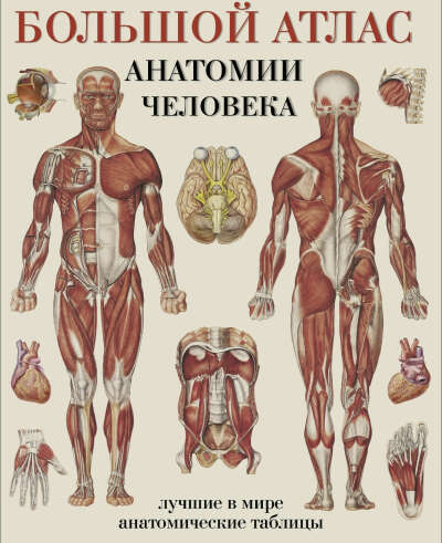 Большой атлас анатомии