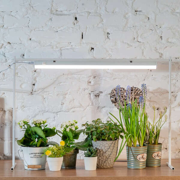 Белая лампа для растений