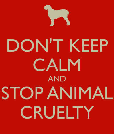 Cruelty to animals to stop all over the planet!!