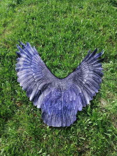 Крылья " Чёрный ворон"