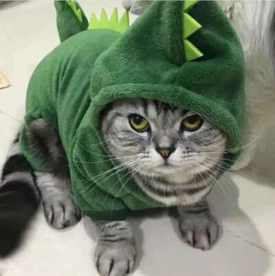 Костюм дракона для кота (6 кг)