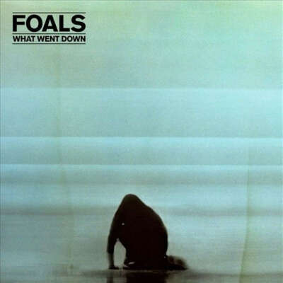 Foals. What Went Down
