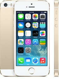 Apple iPhone 5S 16 Gb (Gold)