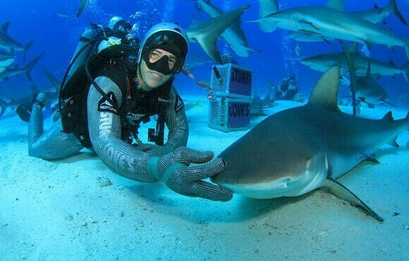 Shark Dive