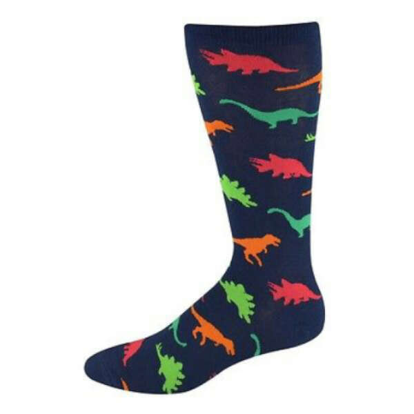 Носки с динозаврами